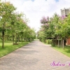 Đất nền Đồng Nai , Sakura Valley ,The Viva City, chiết khấu 21%,hỗ trợ 40 triệu,trả góp dà
