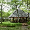 SAKURA VALLEY,239TR,Chiết Khấu 21%,Thuê lại 180TR/3N