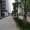 Bán mặt bằng kinh doanh, kiot, shophouse lô góc trung tâm thương mại Park Hill Time City