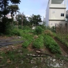 Bán nhanh đất trung tâm Cẩm Lệ gần Lê Đại Hành 98m2 giá 1,1 tỷ