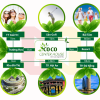 Đất nền ven biển dự án Coco Center House - Đà Nẵng - Hội An - Cơ hội đầu tư hiệu quả