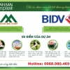 Sự hấp dẫn của dự án Xuân Mai Complex