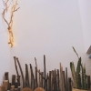 Cho thuê nhà 3 tầng hợp kinh doanh homestay đường Dương Trí Trạch
