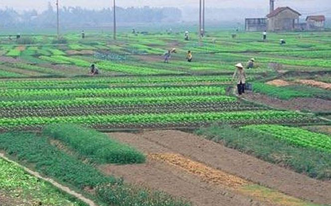 Chuyển đổi 26.000 ha đất nông nghiệp: Dân được lợi gì?