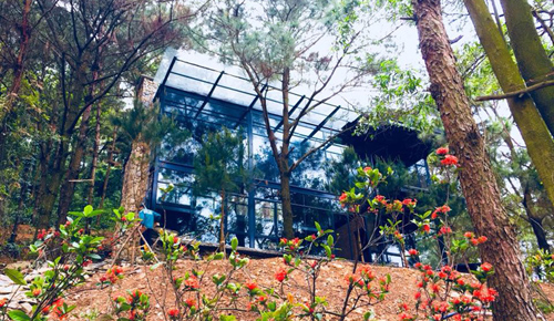 Homestay phát triển mạnh ở các vùng ven Hà Nội